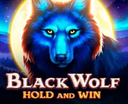 casinomania black wolf